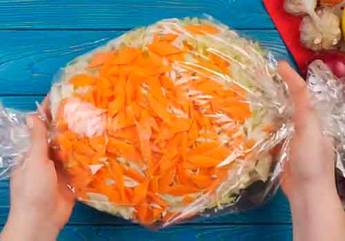 капуста с морковью в рукаве